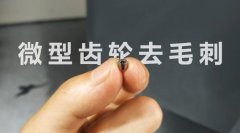  小微齒輪去毛刺清理，適合磨粒流加工！ 
